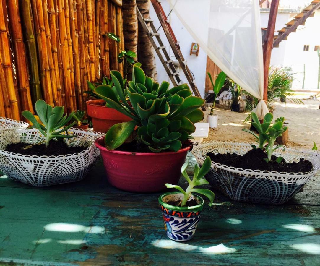La Maxima & Lgbt Hotel Zipolite Ngoại thất bức ảnh